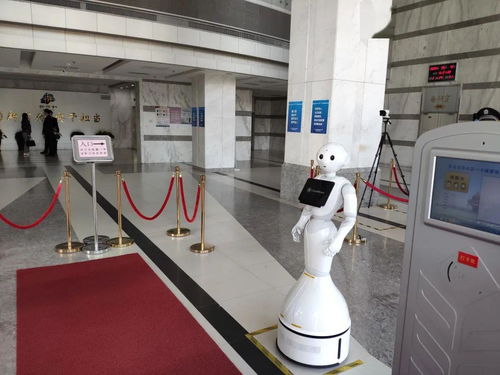 达闼科技云端智能机器人入驻青岛市北政府，开启智慧政务新篇章